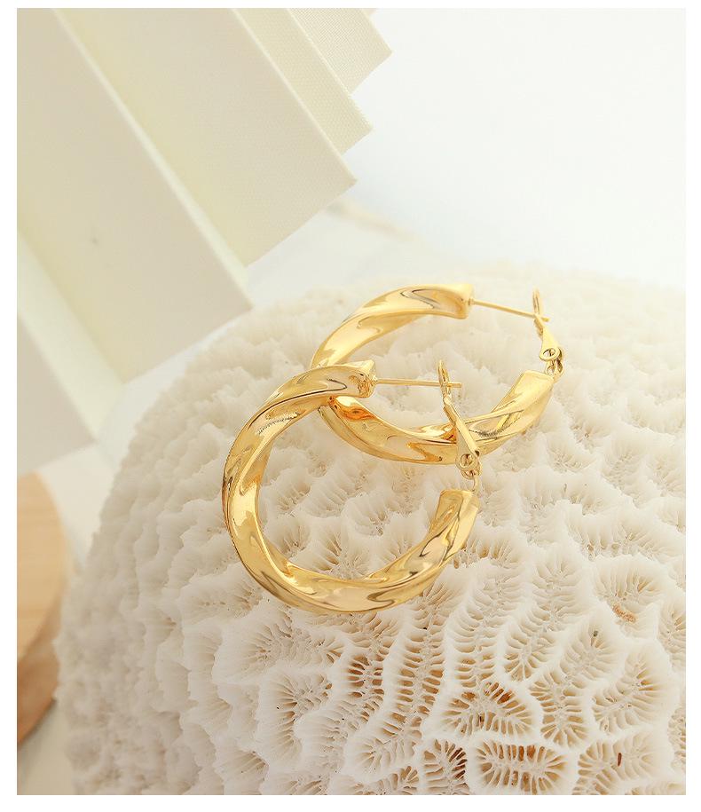 Geometric Hollow Retro Twisted Hoop Earrings - Titanium Steel, Non-fading