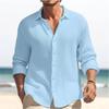 2026 Autumn and Winter New Fashion Simple Solid Color Long-sleeved Lapel Casual Top