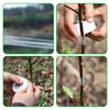 PE pruning tape, stretchable self-adhesive grafting tape, horticultural/garden fruit tree protection transparent film