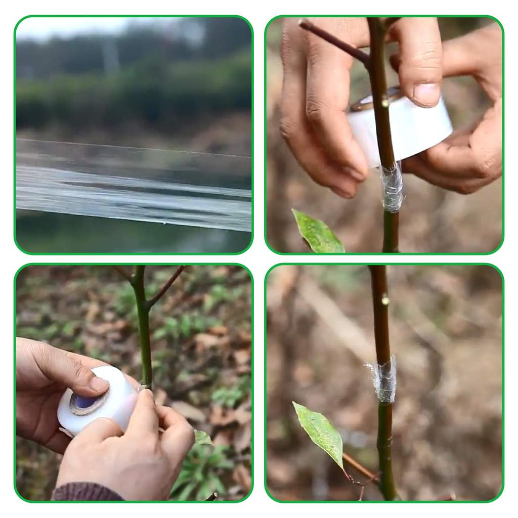 PE pruning tape, stretchable self-adhesive grafting tape, horticultural/garden fruit tree protection transparent film