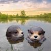 Floating Otters Decorations for Pond Yard Floating Pool Animal Otters Statue