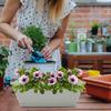 4er-Set rechteckiger Blumenkasten Pflanzgefäß Blumentopf Gemüse Pflanztopf Gartenzubehör Harz Pflanzbehälter Gartenzubehör