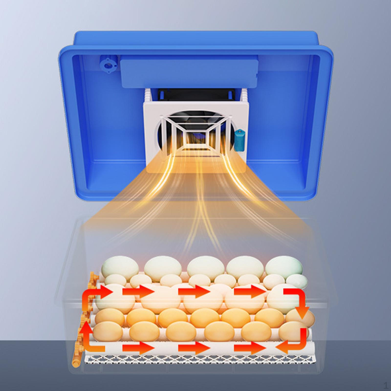 

Инкубатор для куриных яиц, автоматическая машина для инкубационных яиц на 6 одиночных мощностей Double Power