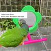 Acrylic Material Parrot Mirror Stand Toy Plastic Material Hanging Bird Mirror Toy  For Budgie