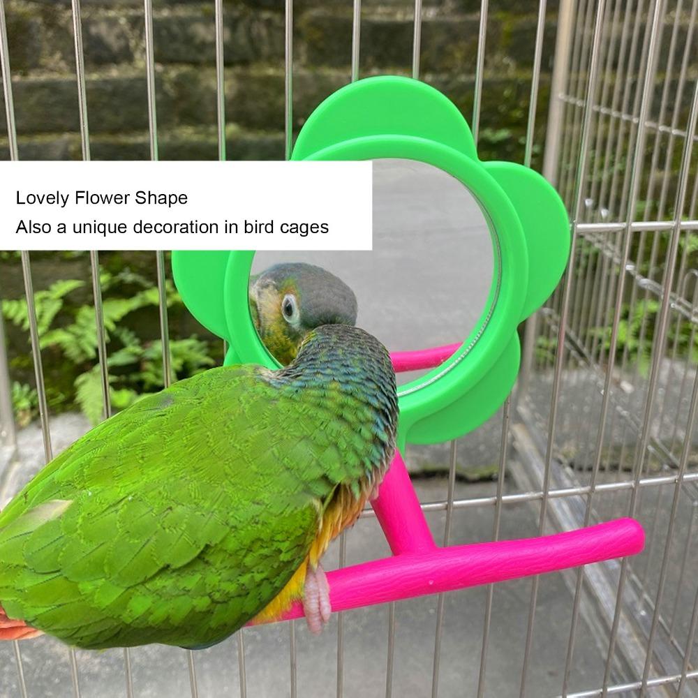Acrylic Material Parrot Mirror Stand Toy Plastic Material Hanging Bird Mirror Toy For Budgie