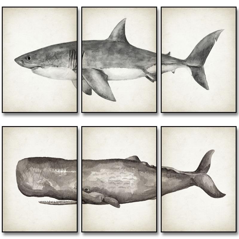 Marine Animals Canvas Paintings Great White Shark Posters and Prints Killer Whale Wall Art Picture for Home Decoration No Frame