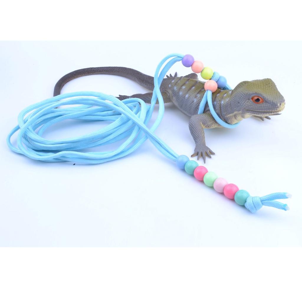 reptile leash