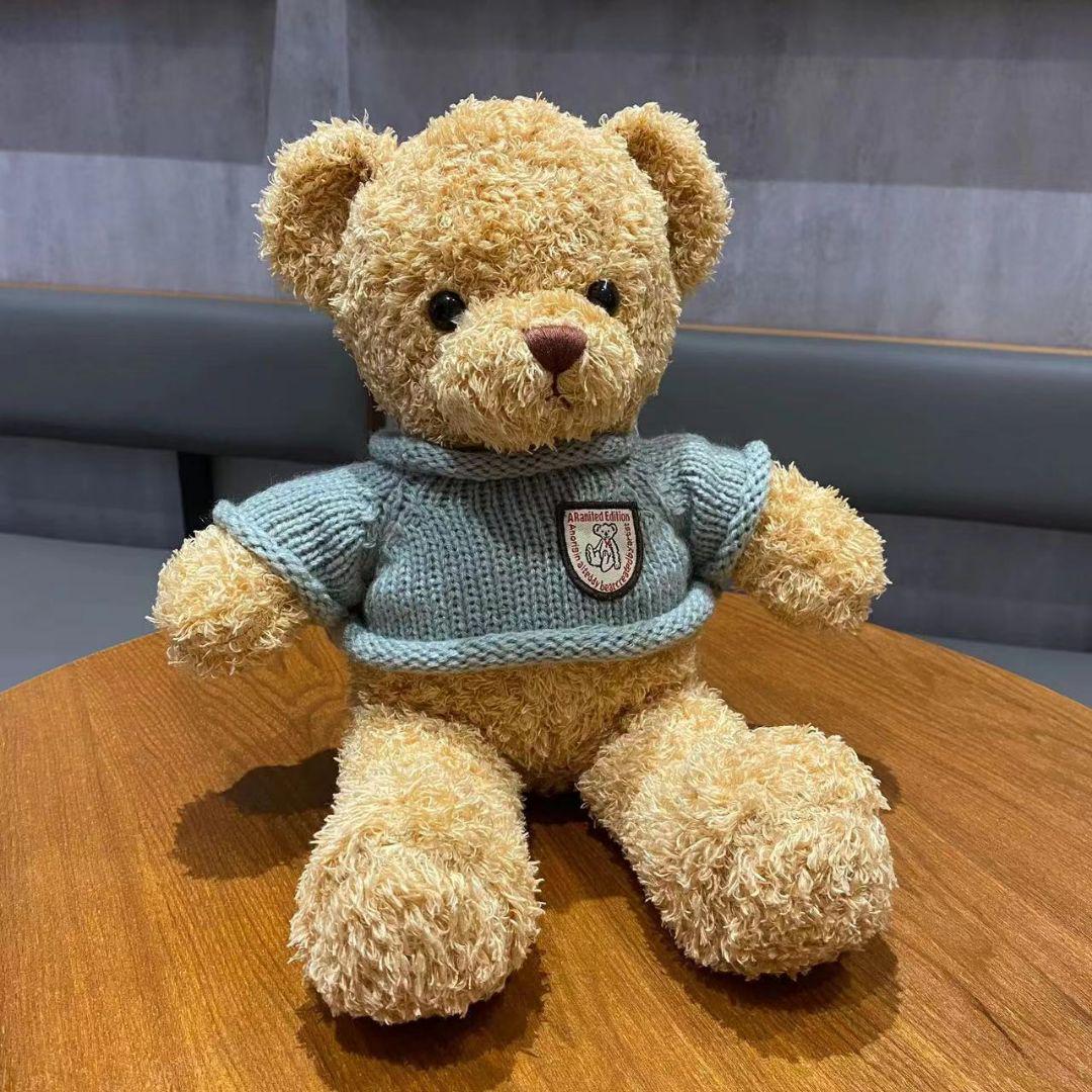 

[USED] teddy bear plush toy