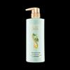 SURE Green Tea Seed Oil Control Anti-dandruff Shampoo