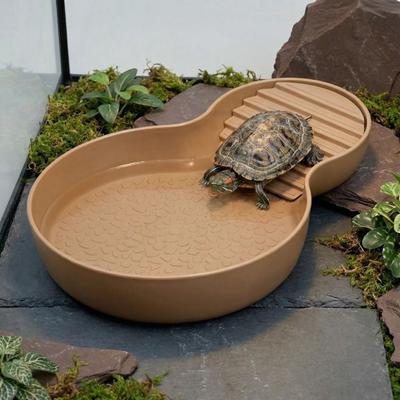 Reptiles – Terrarium pour reptiles