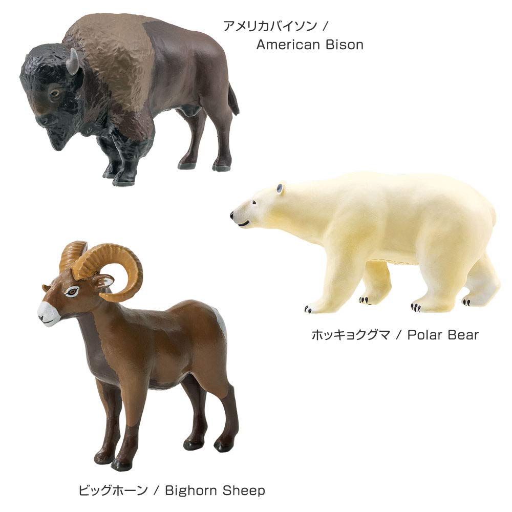 Calorata Animal Geography Zone 3 Figure 3D Encyclopedia of the Old North and New North Zones 12 Species Includes Realistic Figure Box Toy Educational