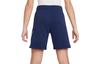 Nike Kids Shorts Moderate FD2997-410