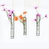 Thickened Hanging Glass Planter Transparent Glass Vase Gardening Supplies Test Tube Vases  Office
