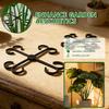 Plant Stem Support Reusable Plant Growth Accessories Climbing Houseplant Stem Holders for Monstera Indoor Plants