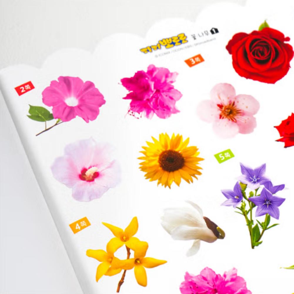 Pororo Sticker Playbook: Flower and Tree