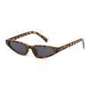 Unique Small Frame Cat Eye Sunglasses for Women Trendy UV Protection Triangle Shades Hip-Hop Sun Glasses Fashion Eyewear