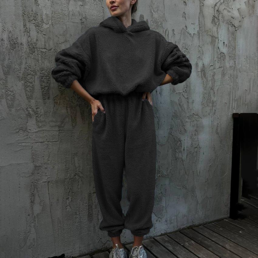 Women Solid Color Long Sleeve Hooded Hoodies Suit Autumn Winter Loose Top Wide Leg Pants