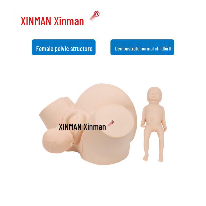 Продвинутая модель для обучения акушерству XINMAN