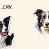 Personalized Laptop Accessories 50PCS Border Collie Stickers, Cute Dog Theme Decorative Waterproof Vinyl Decals for Journals And DIY Crafts