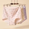 Fentenggan 3-Pack Extended Cotton Crotch Floral Women's Underwear