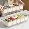Transparent Ice Chilled Tray Platter 5 Grids Snacks Container Condiment Container  for Home