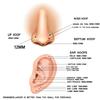 G23 Titanium Daith Cartilage Earrings 16G Helix Nose Septum Piercing Conch Hinged Clicker Body Jewelry Ear Ring Zircon