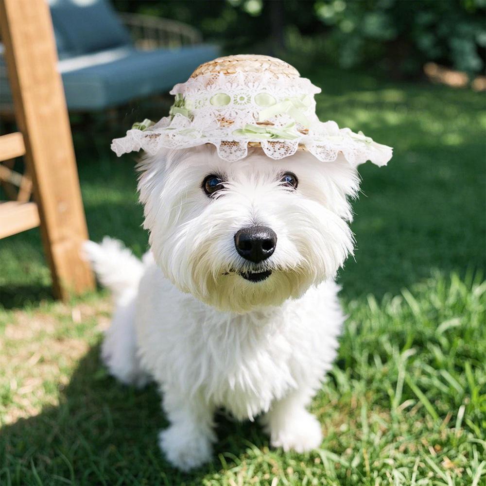 Dog Shade Straw Hat Outdoor Pet Lace Princess Hat Lace Bow Straw Hat Dress Up Ragdoll Cat Hat