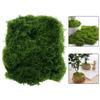 Decorative Moss DIY Landscaping Reliable Choice Rich Vibrant Tones Versatile Decor Faux Moss For Indoor Planters