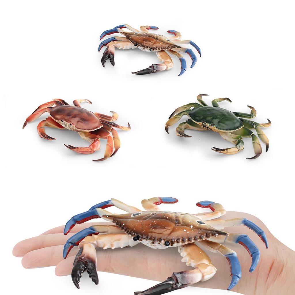 Marine Animal Crab Model: Children's Cognitive Toy and Decorative Three-Eyed Blue Crab Ornament
