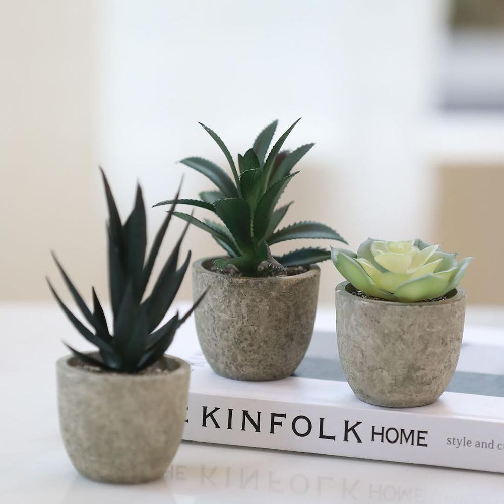 

24Pcs Aloe Vera Simulation Succulents Mini Bonsai Fake Plant Desktop Decor Type A