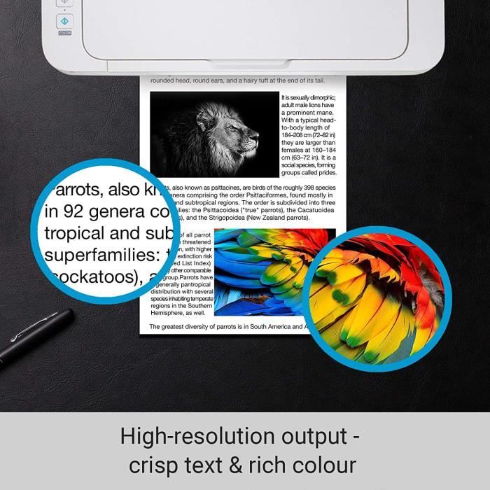 Kamo 502XL Cartouches d'encre Multipack Compatible avec Epson 502 502XL Cartouches; Expression Home XP-5100, XP-5105; Workforce 196