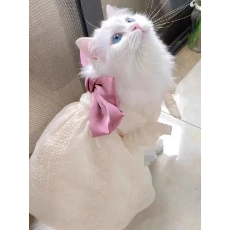 Pet Dog Cat Princess Dress Bowknot Skirt Small Breeds Teddy Bichon
