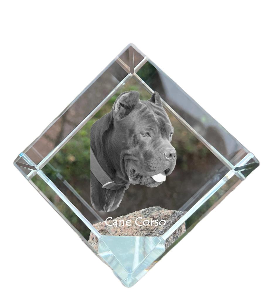 Cane Corso, Italian Cane Corso – Crystal cube with a photo, photo of a horse in crystal | Art-Dog