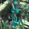 5Pcs Frog Shaped Reusable Cable Wire Tie Decorative Twist Bendable Garden Plant Support Adjustable Flexible Clip Stem