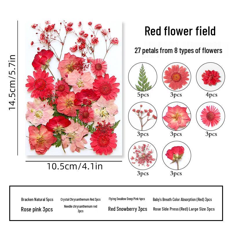DIY Dried Flower Specimen Sticker Set for Kids: Handmade Pressed Flower Frames & Resin Bookmark Craft Kit