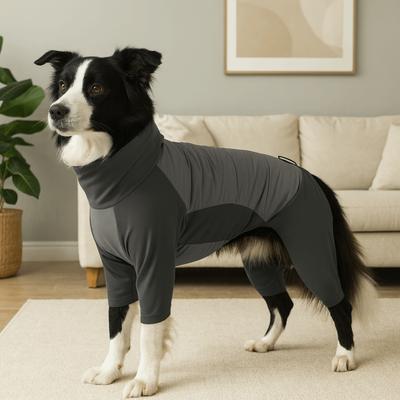 Vêtements et chaussures – Tenues pour chien