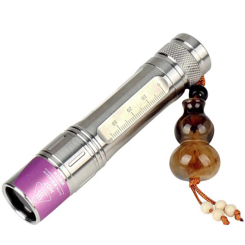 Professional UV 365nm Blacklight Flashlight