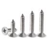 Tidong 304 Stainless Steel Flat Head Phillips Self-Tapping Screws