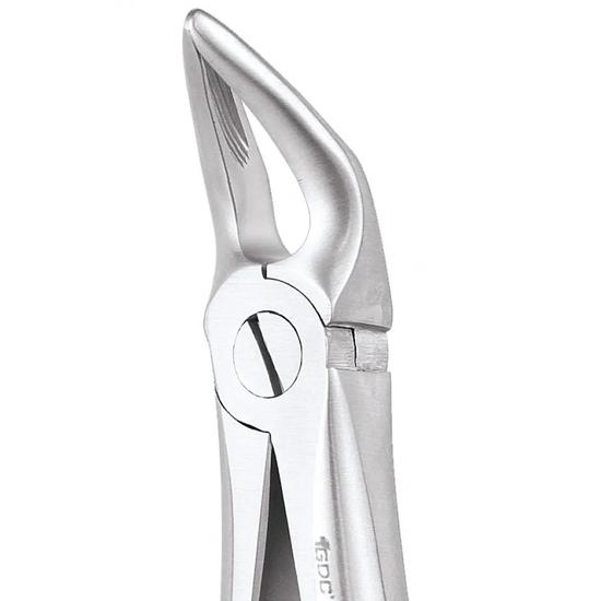 GDC Extraction Forceps Lower Roots - 31 Standard (FX31S)
