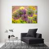 Canvas Print Garlic Plants Purple