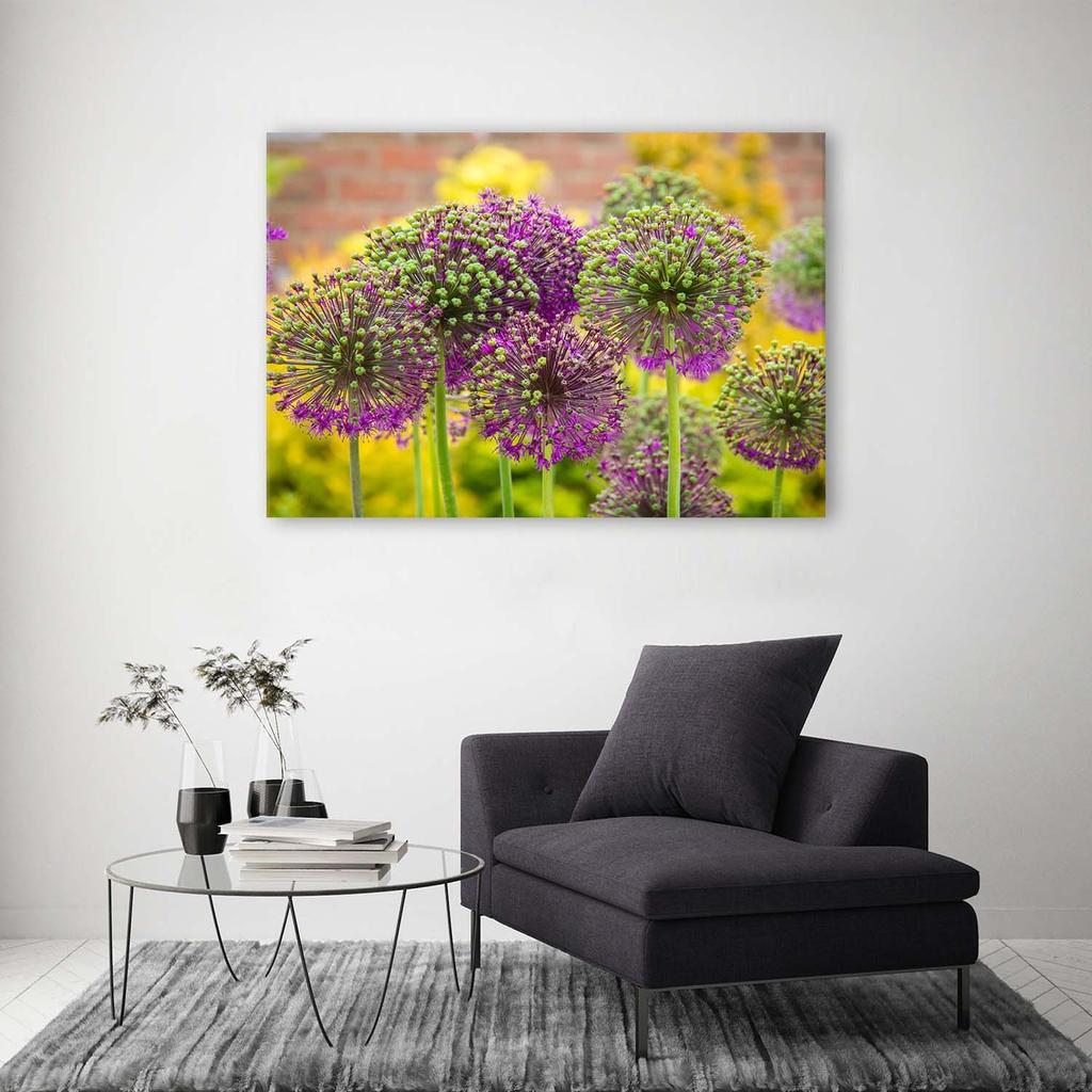 Canvas Print Garlic Plants Purple