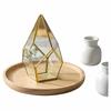 Geometric Glass Rhombus Greenhouse Ornament: European Wine Cabinet Micro Landscape & Preserved Flower Pot Craft