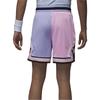 Jordan Sports Shorts Men's Ice Beauty Lilac FD6551-538