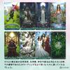Universal Celtic Tarot Reading Japanese Instruction Manual Authentic Tarot 78 Cards Tarot, Instructions, Included, Cards,