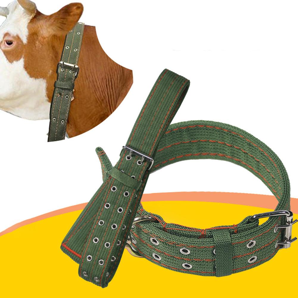 Belay Tie Adjustable Cattle Collar Cow Hauling Collar Livestock Feeding Supply Canvas Belt Strong-Durable Veterinary Equipment