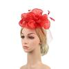 Vintage Detachable Clip Feather Headband Mesh Veil Bridal Headdress Fascinators Hats Women