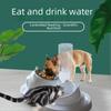 "Automatic Stainless Steel Pet Water Feeder and Bowl for Dogs and Cats"