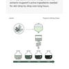 ISNTREE Mugwort Calming Cream Bundle Set