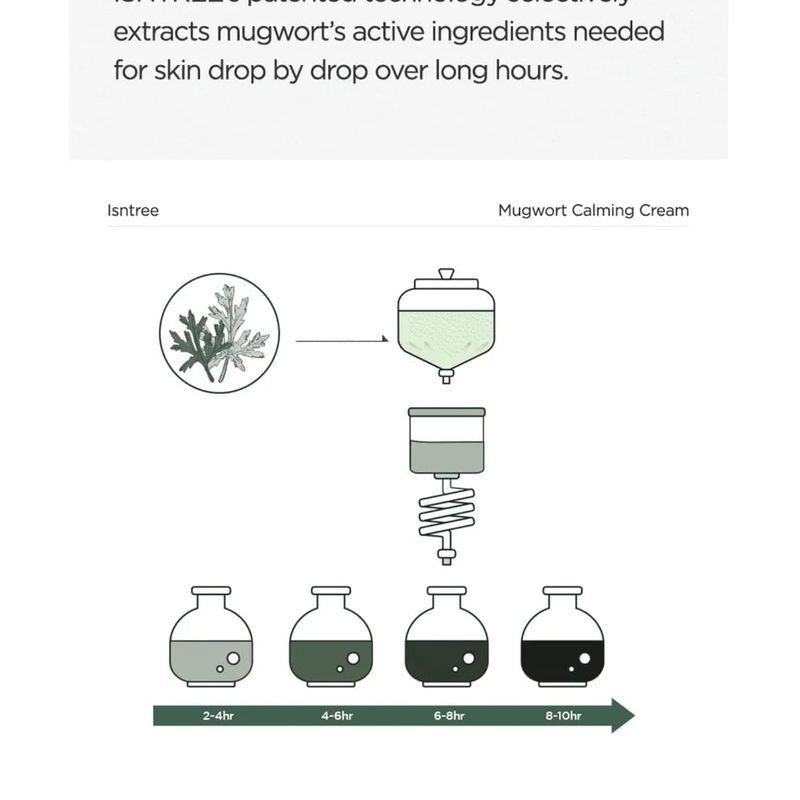 ISNTREE Mugwort Calming Cream Bundle Set