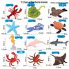 Cross-Border Children's Cognitive Amphibian & Reptile Tortoise Model Fish Tank Ornament Toy